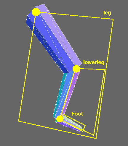 Leg with components shown in yellow
